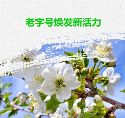 “博士”审协广东中心成立知识产权博士服务团